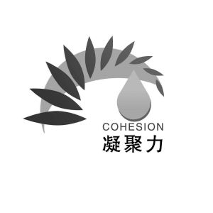 凝聚力 cohesion