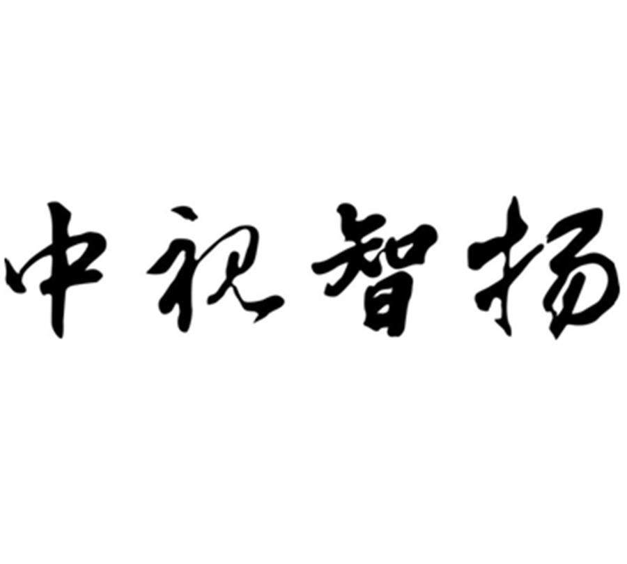 中视智扬国际传媒有限公司