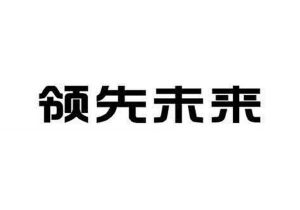 领先未来科技集团有限公司