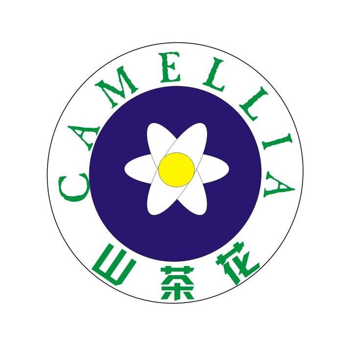 山茶花camellia