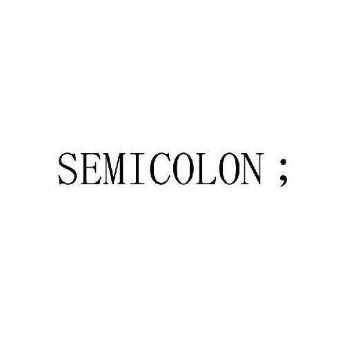 semicolon