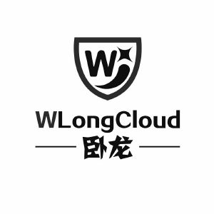 卧龙;wlongcloud w