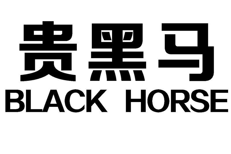 贵 em>黑马/em black horse