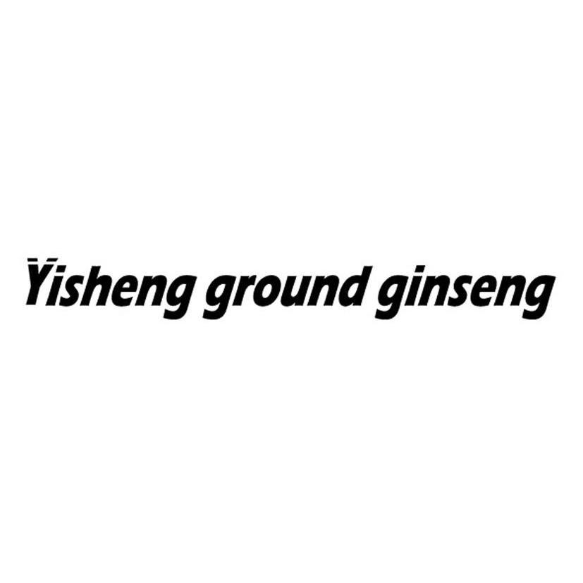 YISHENG GROUND GINSENG