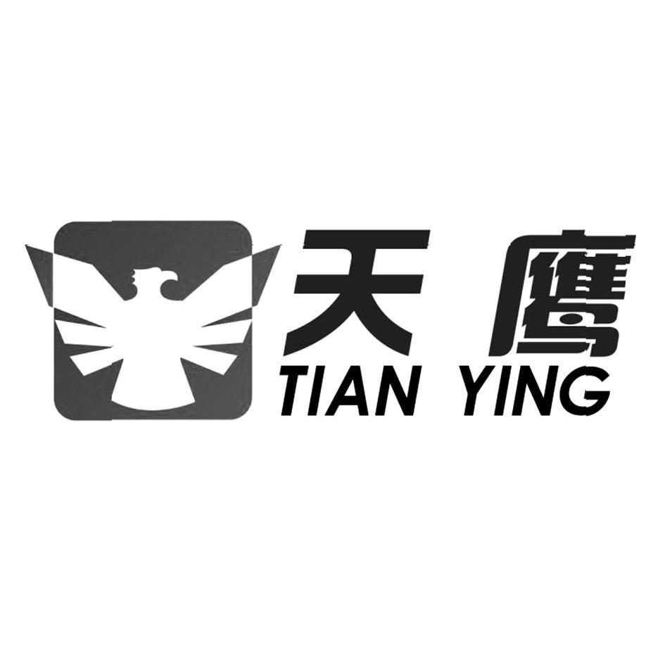 天鹰