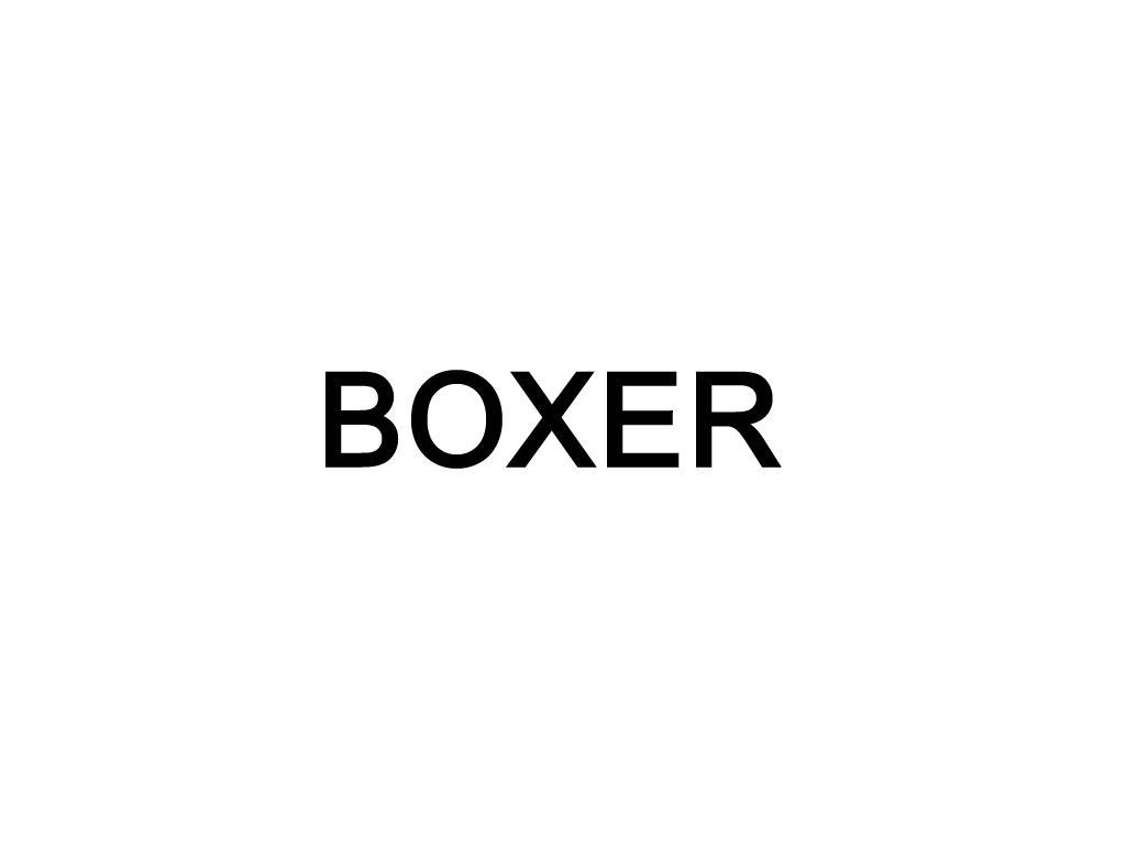 boxer