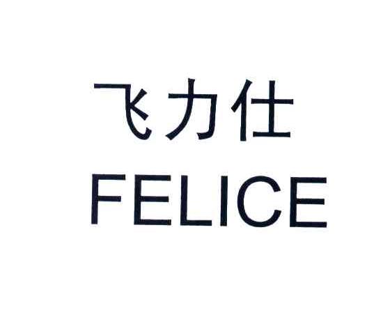 飞力仕