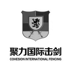 聚力国际击剑 cohesion international fencing