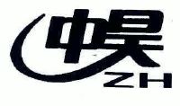 山东中昊控股集团有限公司