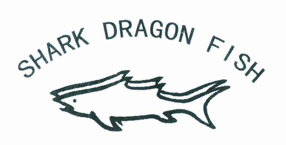 shark dragon fish