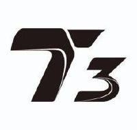 t3