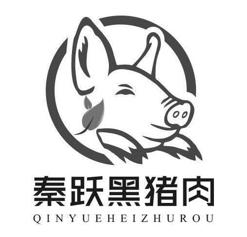 秦跃黑猪肉