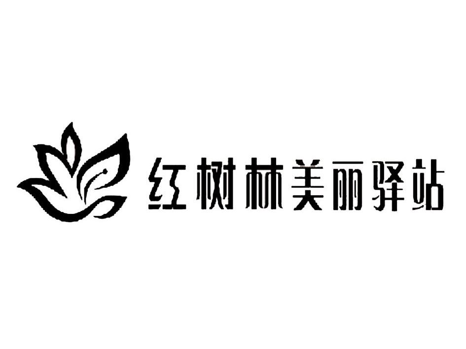 红树林美丽驿站