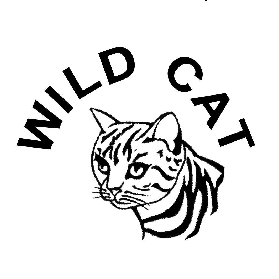 野猫