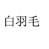 白羽毛