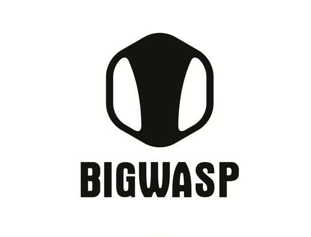 BIGWASP
