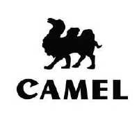 camel