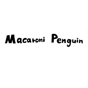 macaroni penguin