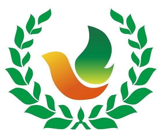 上海市青橄榄树公益基金会