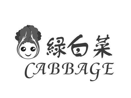 绿白菜 cabbage