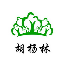 胡杨林