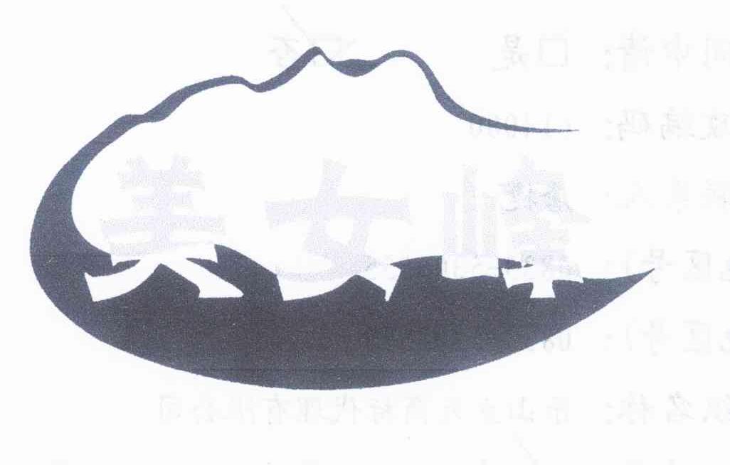 乐山大亚美女峰旅游开发有限公司_【信用信息