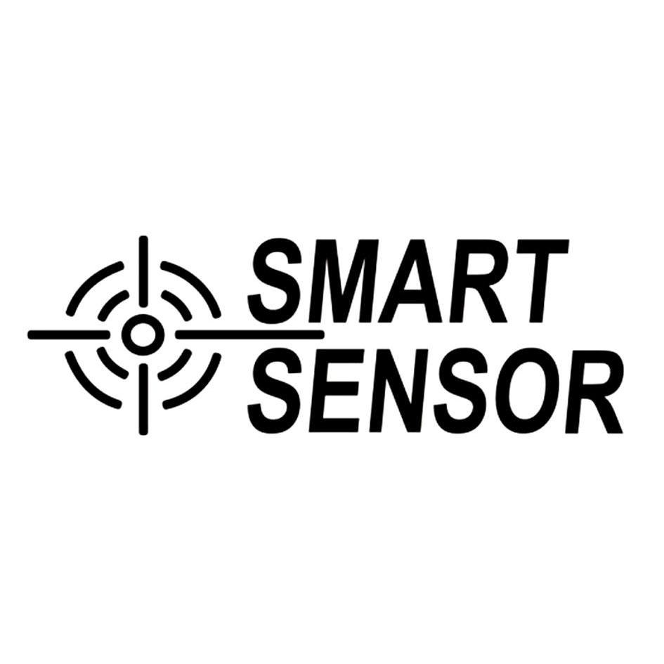 smart sensor