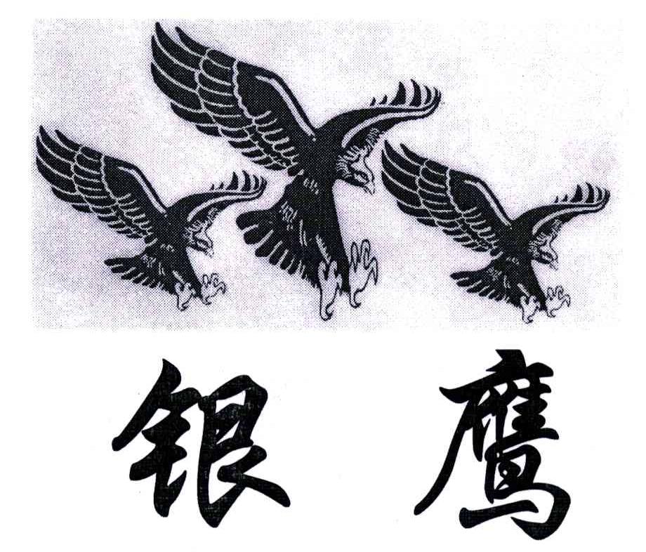 银鹰