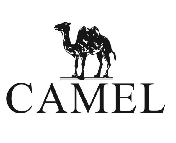 camel