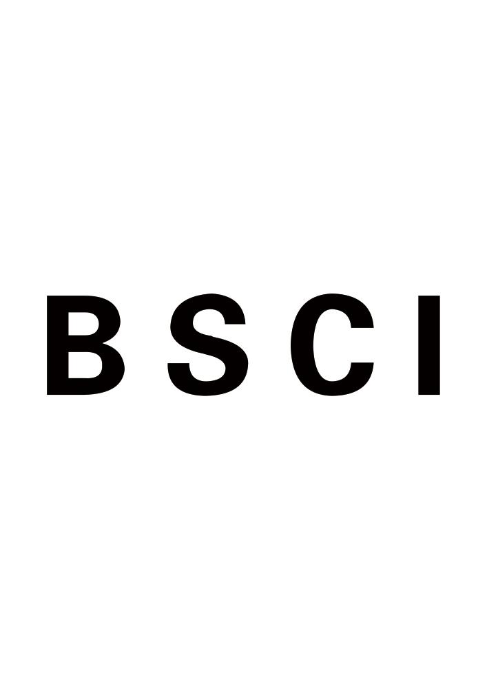 bsci_注册号35537678_商标注册查询 - 天眼查