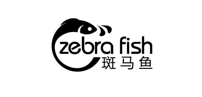 斑马鱼 zebra fish