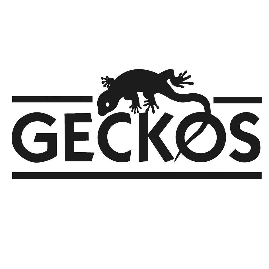 geckos