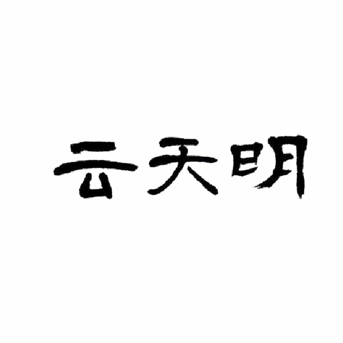 西安云天明信息系统有限公司