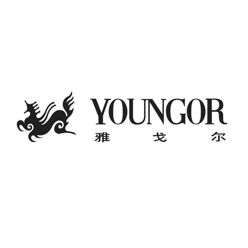 雅戈尔 youngor_注册号48187489_商标注册查询 - 天眼查