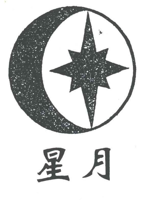 内蒙古星月实业(集团)有限公司