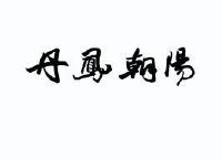 丹凤朝阳_注册号48629574_商标注册查询 天眼查