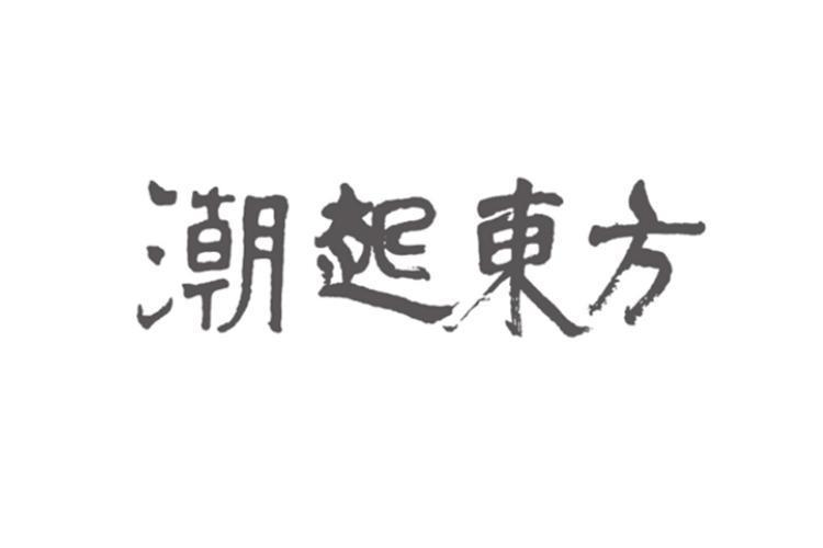 深圳市潮起东方文化投资发展有限公司