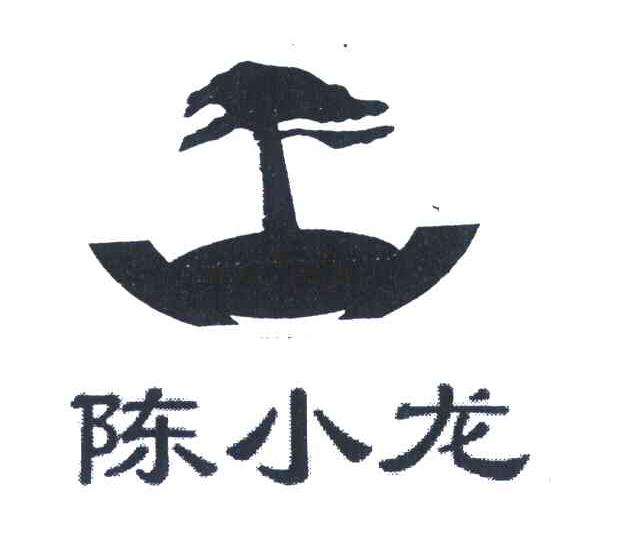 陈小龙