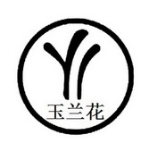 玉兰花