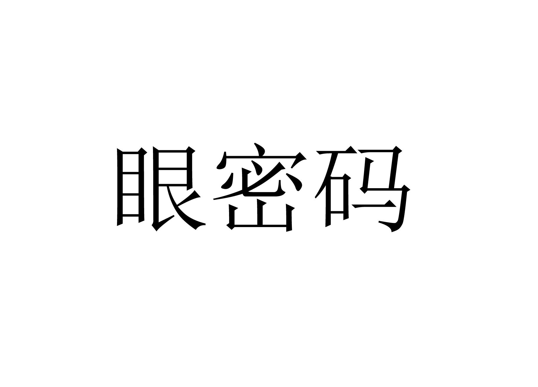 眼密码