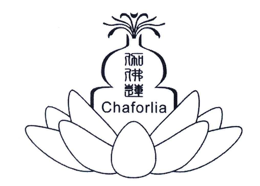 伽佛莲;chaforlia