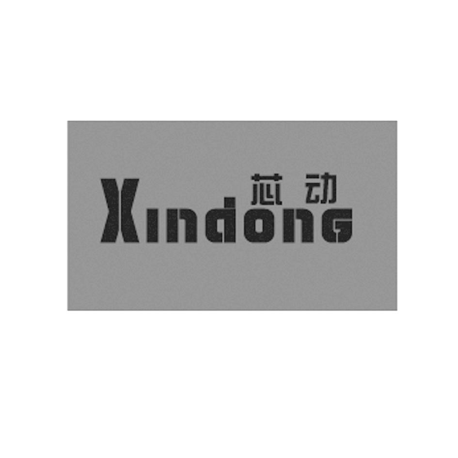 芯动