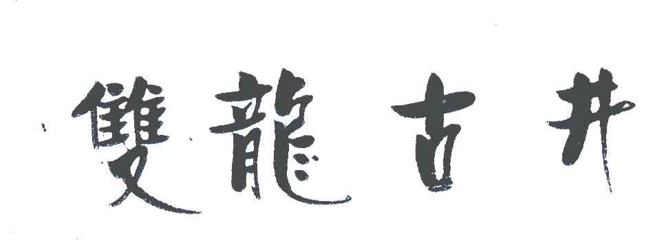 双龙古井