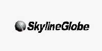 skylineglobe_注册号31305498_商标注册查询 - 天眼查