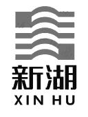 浙江新湖集团股份有限公司