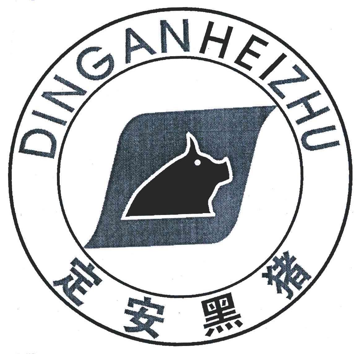 定安黑猪
