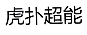 虎扑(上海)文化传播股份有限公司