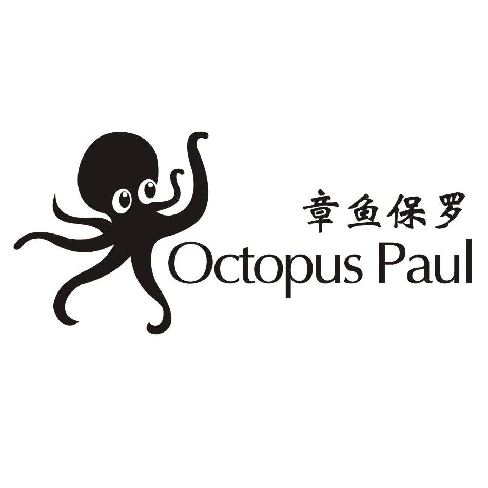 章鱼保罗 octopus paul