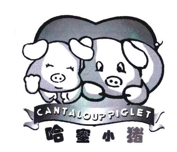 哈蜜小猪;cantalouppiglet