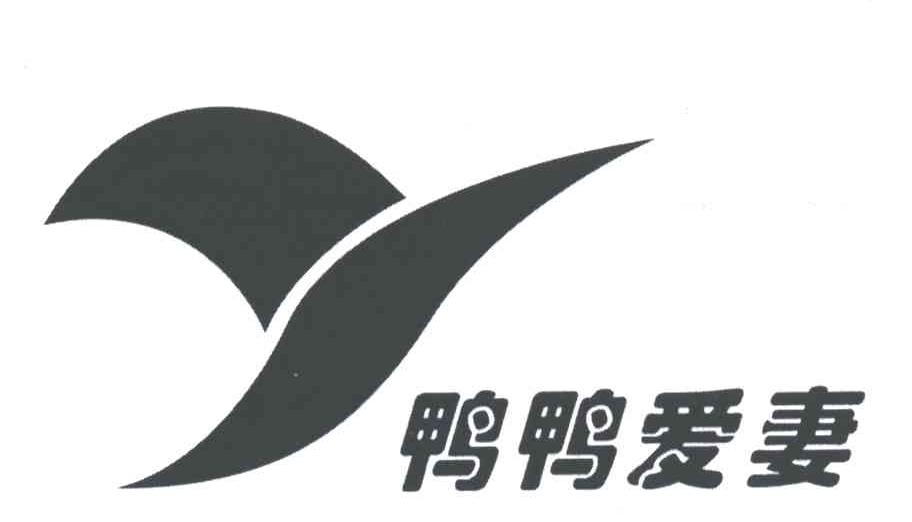 鸭鸭爱妻;y_注册号3157320_商标注册查询 - 天眼查